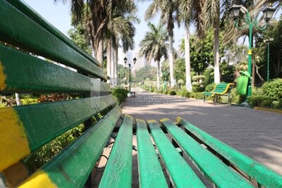 View from Al Horreya Garden, Nature