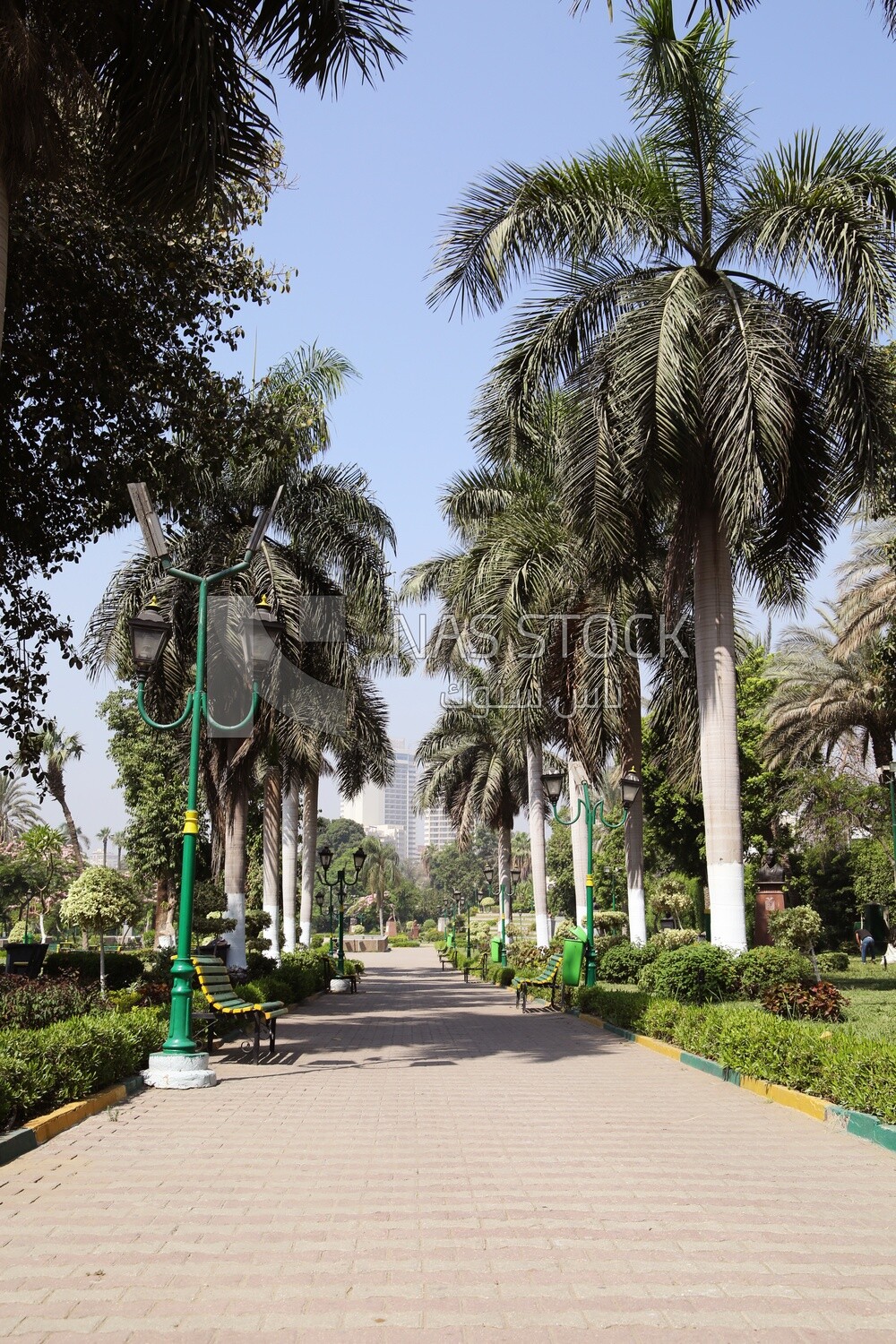 View from Al Horreya Garden, Nature