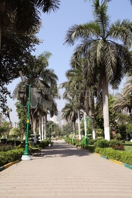 View from Al Horreya Garden, Nature
