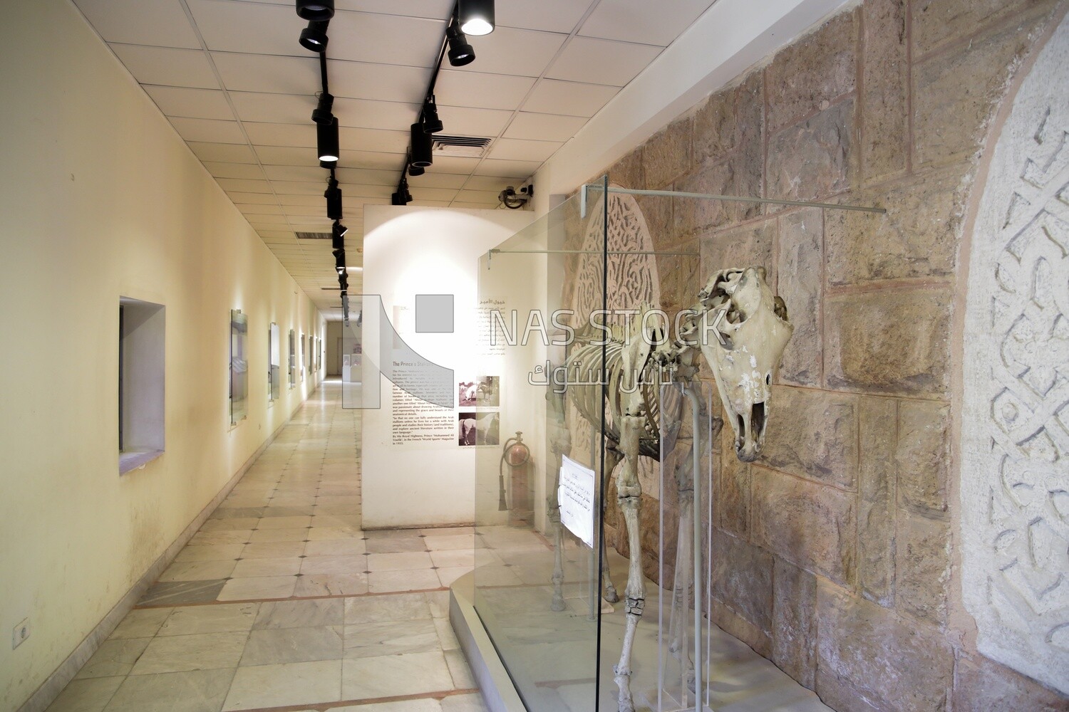 The hunting museum at Muhammad Ali Palace