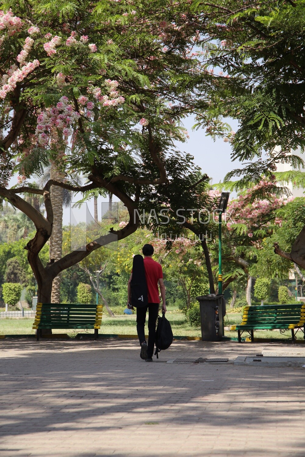 View from Al Horreya Garden, Nature