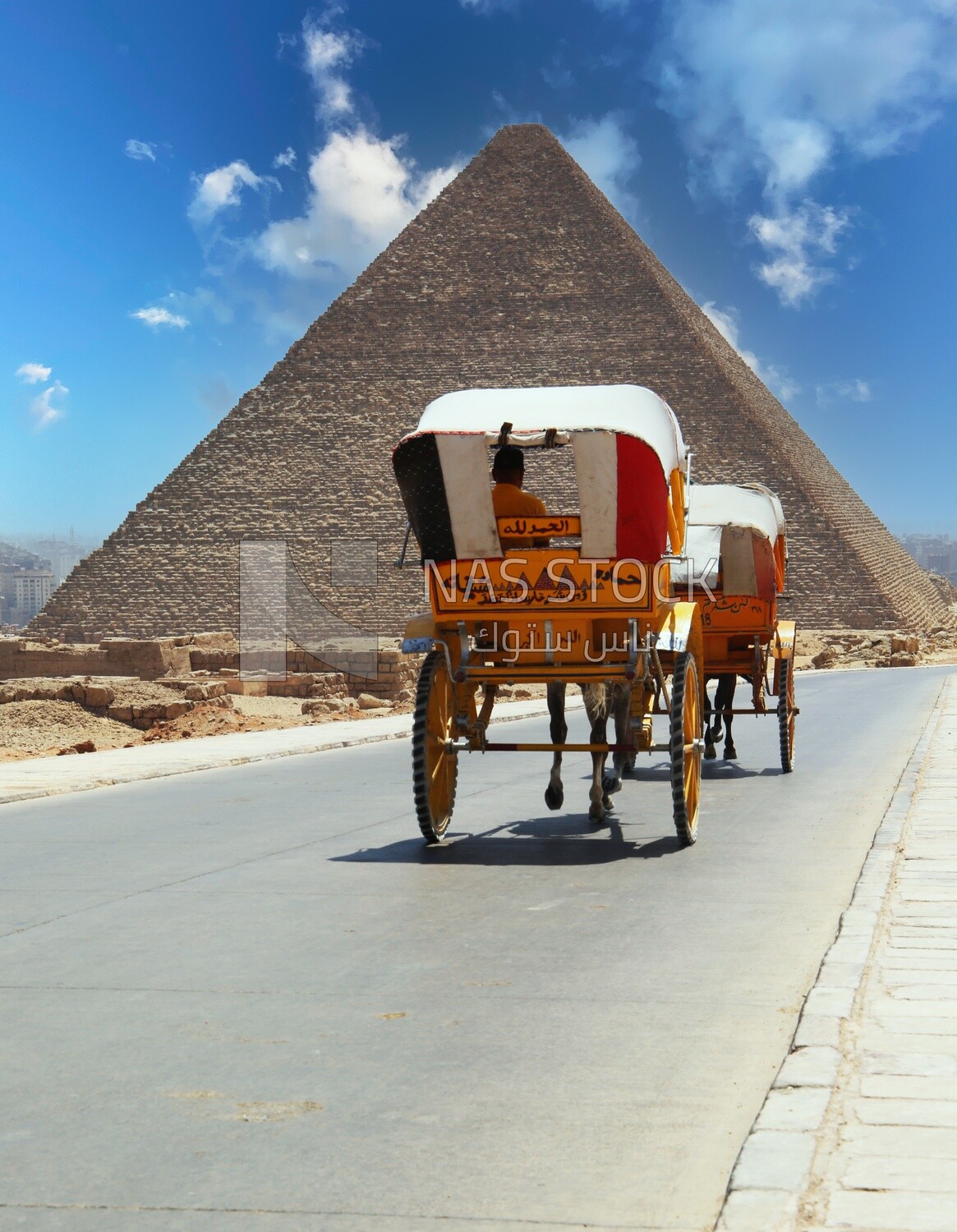 Horse Carriage in Giza, Tourism in Egypt, famous landmarks in Egypt