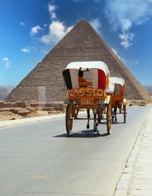 عربة الخيول في الجيزة، السياحة في مصر، معالم مصر الشهيرة