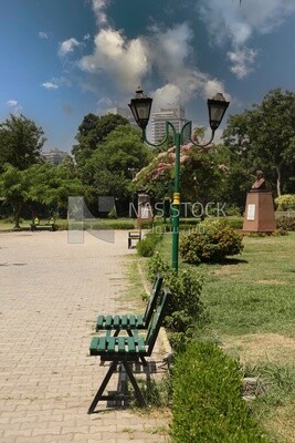View from Al Horreya Garden, Nature