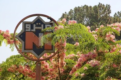 View of Metro sign on Al Horreya Garden