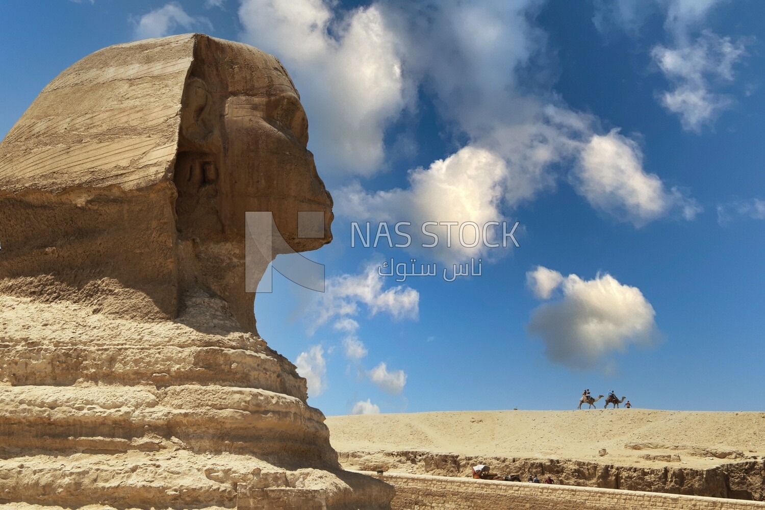 Side view of The Great Sphinx, Tourism in Egypt, famous landmarks in Egypt, the beauty of the scenic landscapes