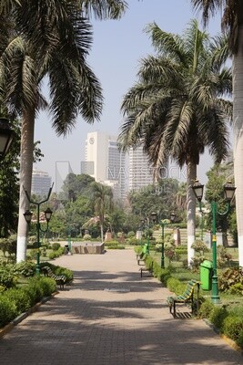 View from Al Horreya Garden, Nature