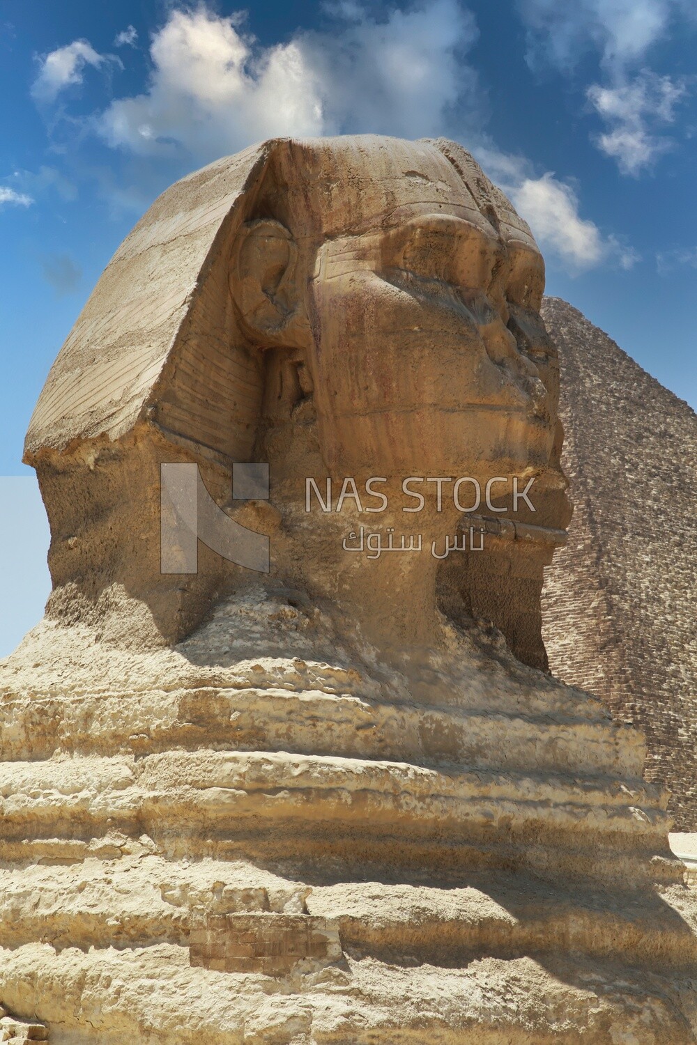 Side view of The Great Sphinx, Tourism in Egypt, famous landmarks in Egypt, the beauty of the scenic landscapes