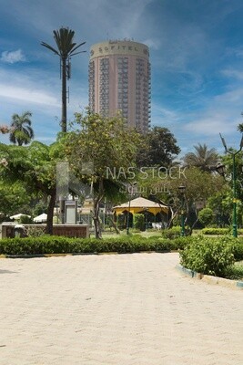 View from Al Horreya Garden, Nature