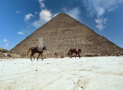 View of the Pyramid of Khafre in Giza, Tourism in Egypt, famous landmarks in Egypt