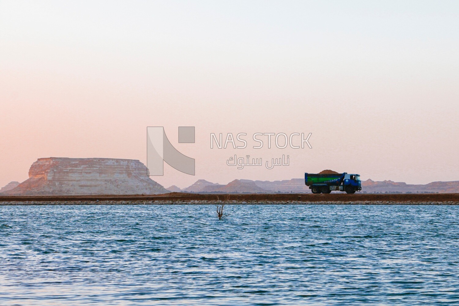 View of Siwa lake and oasis, Egypt