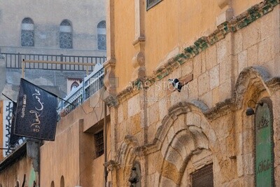 Al-Muizz Li-Din Allah in Fatimid Cairo