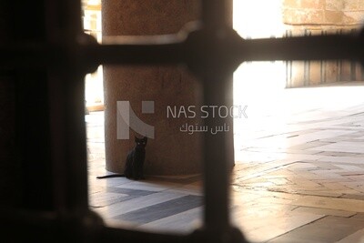 The Mosque-Madrasa of Sultan Barquq, tourism in Egypt,  El-Moez Street, Cairo, Egypt