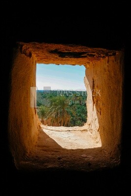 View of oasis, Egypt