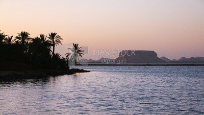 View of Siwa lake and oasis, Egypt