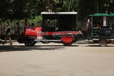 Miniature train in the Giza Zoo