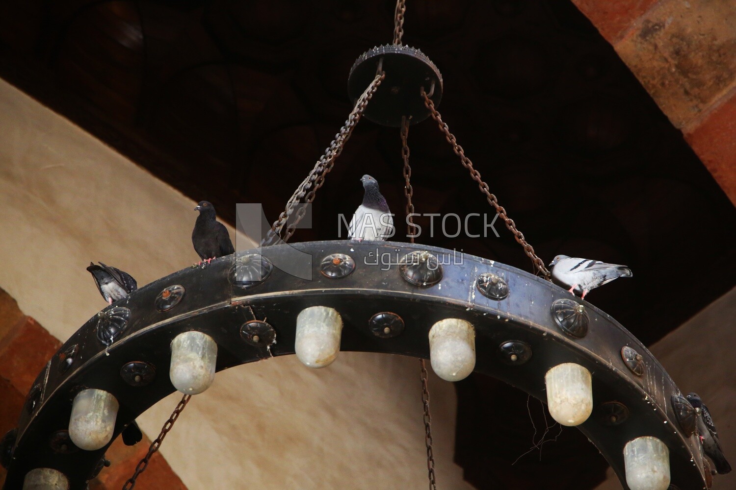 Birds standing on hanging lamps in the Beshtak Palace, History, Ancient palace