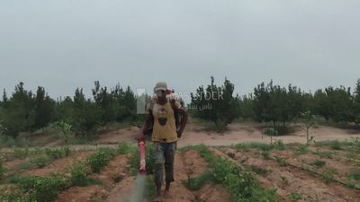 Farmer spraying agricultural land with harmless organic pesticides