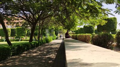 Gardens and green views