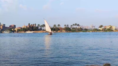 مركب شراعي يبحر على نهر النيل عند الظهر ,رحلة بالقارب الشراعي على نهر النيل توفر مناظر خلابة للنهر ومحيطه