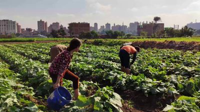 Children help their father in the field