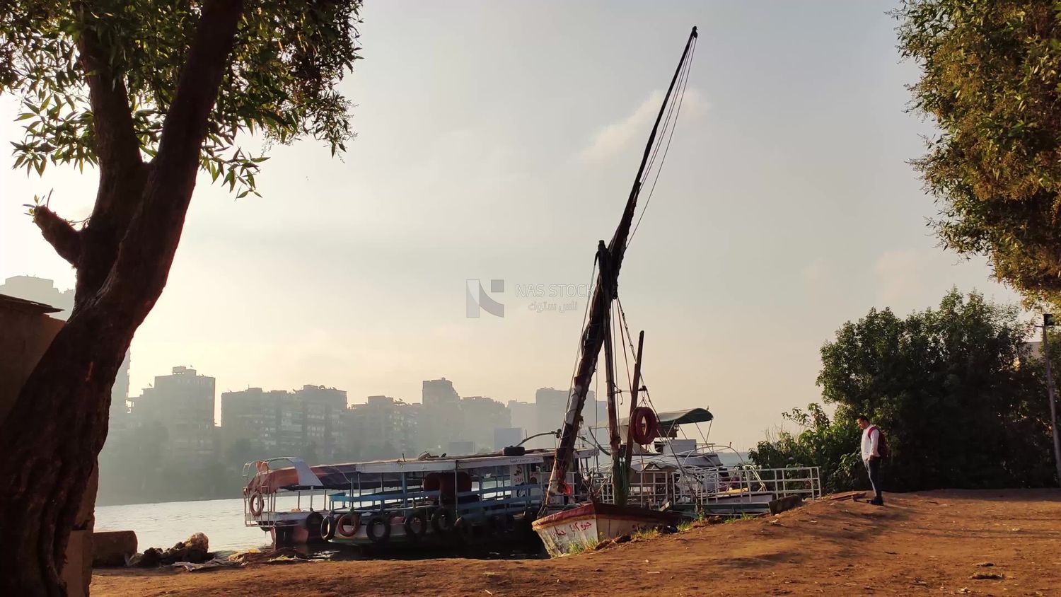 Group of Nile feluccas moored on the bank of the Nile