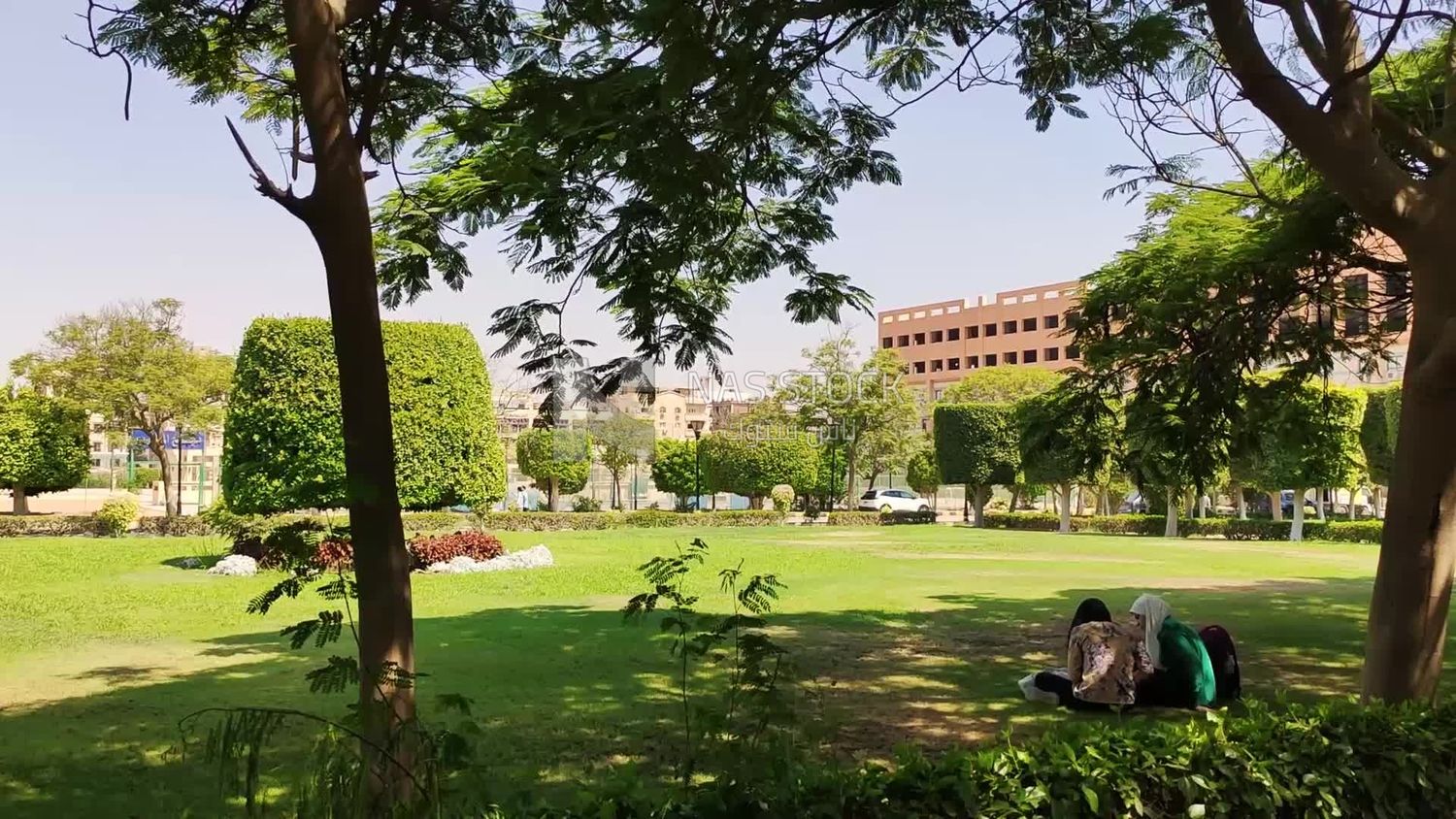Natural green garden