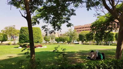 Natural green garden