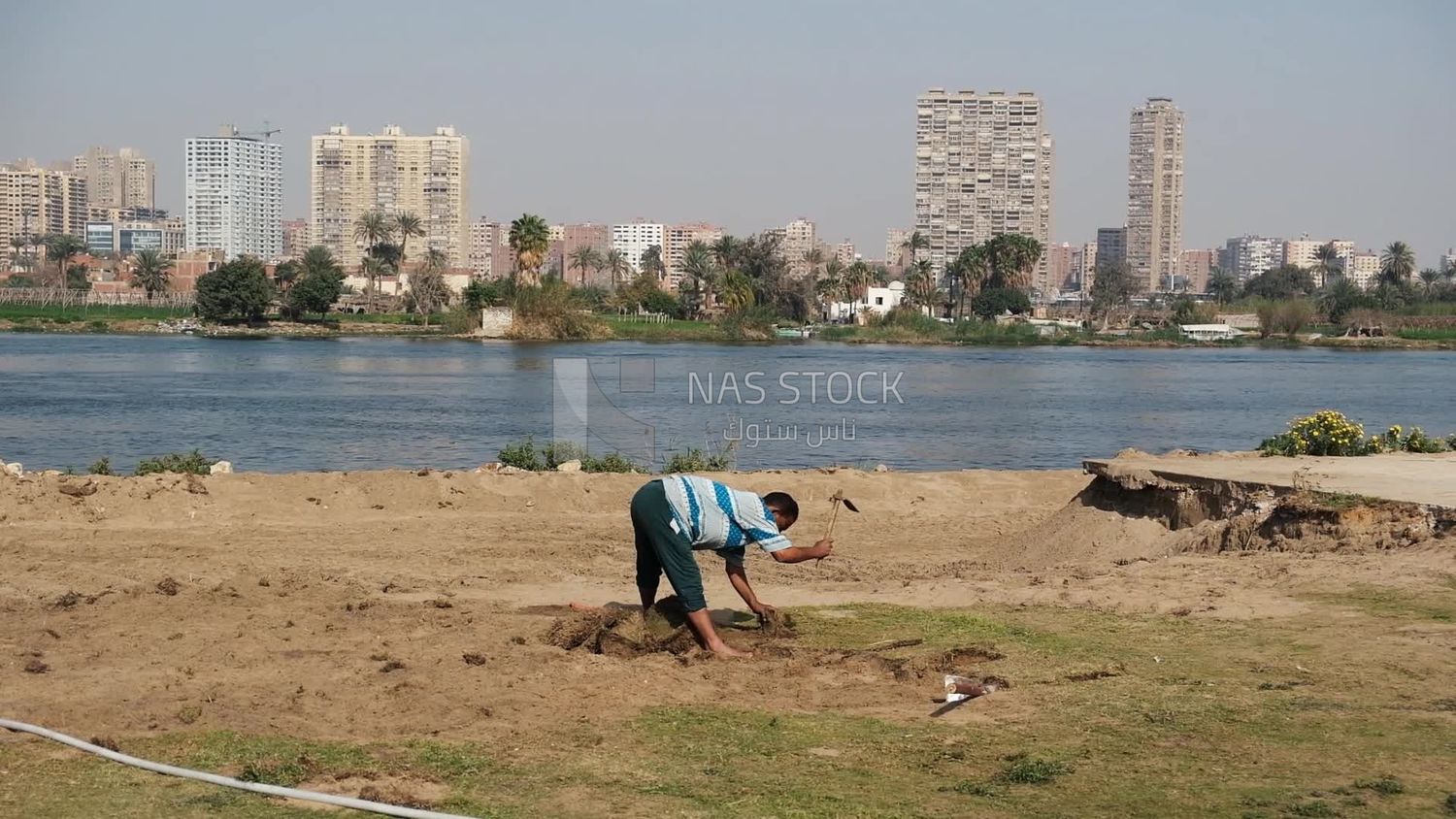 Man takes artificial grass to make a garden, work, palms
