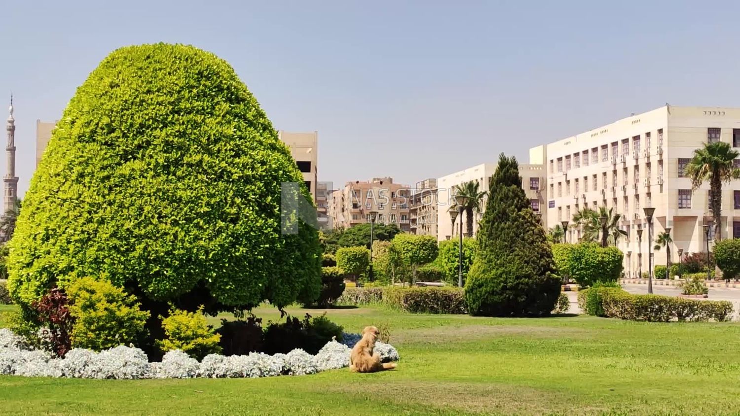 Natural green garden