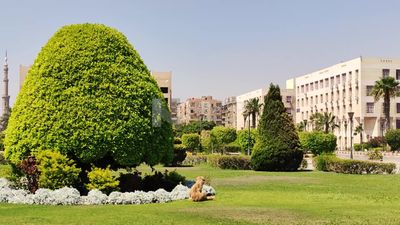 حديقة خضراء طبيعية  , حديقة فى جامعة 6 اكتوبر , مصر