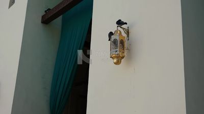 Birds on a hanging lamp in Al-Hakim Mosque, by God&#39;s command, tourism in Egypt, tourists, famous mosques in Egypt