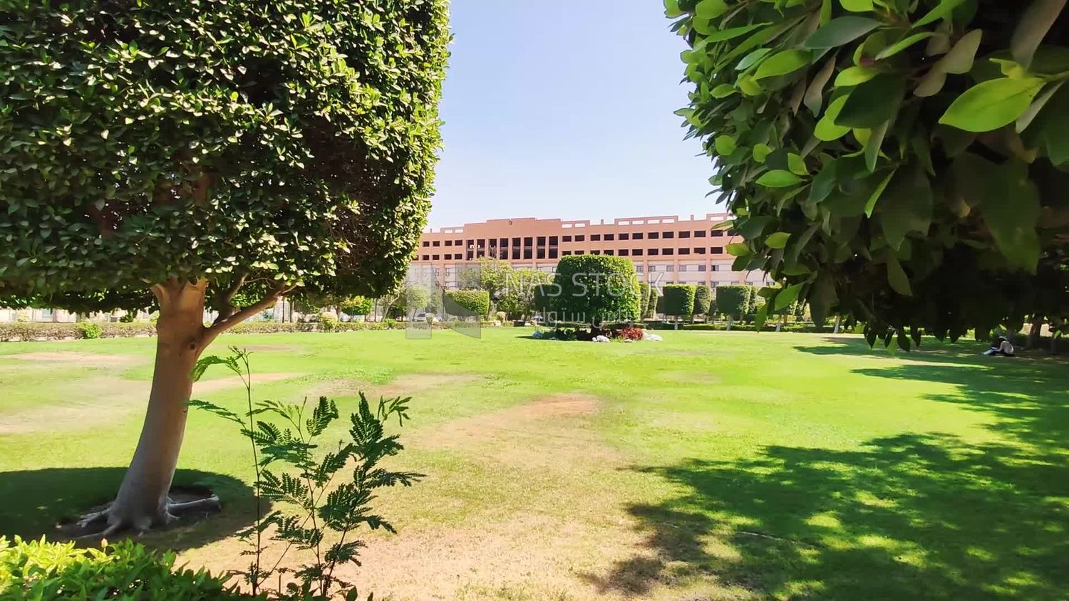 Natural green garden