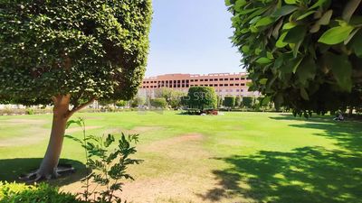 حديقة خضراء طبيعية  , حديقة فى جامعة 6 اكتوبر , مصر