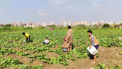 Children help their father in the field