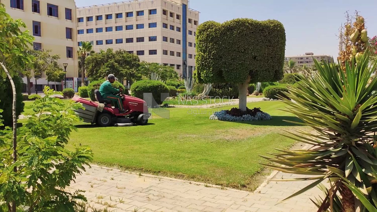 Gardener doing the lawn mowing