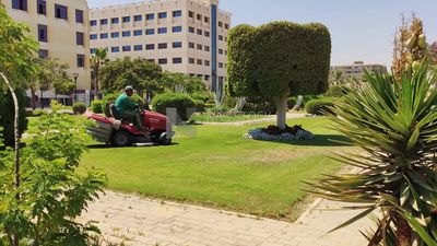 Gardener doing the lawn mowing