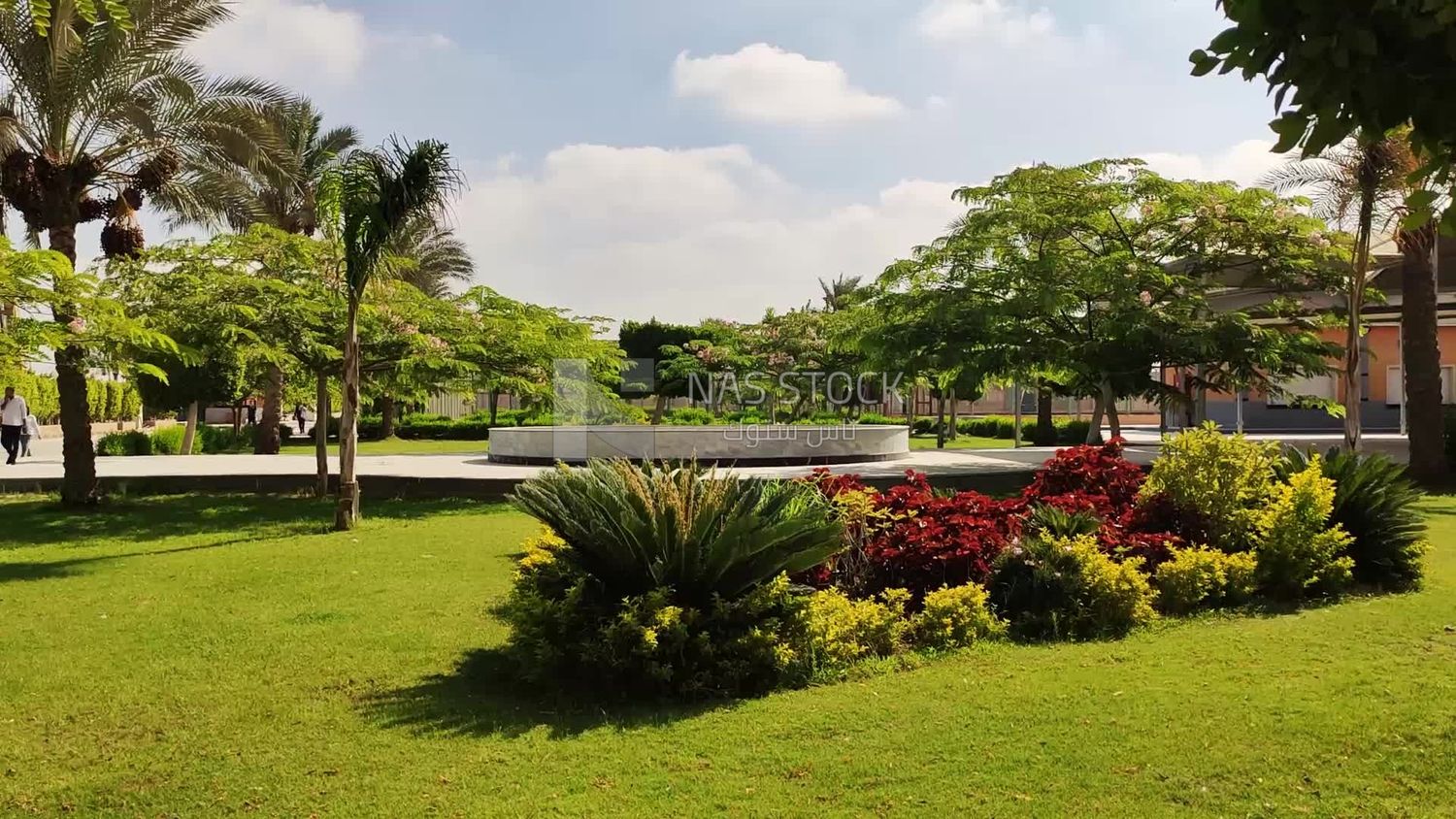 Large green garden with water fountain
