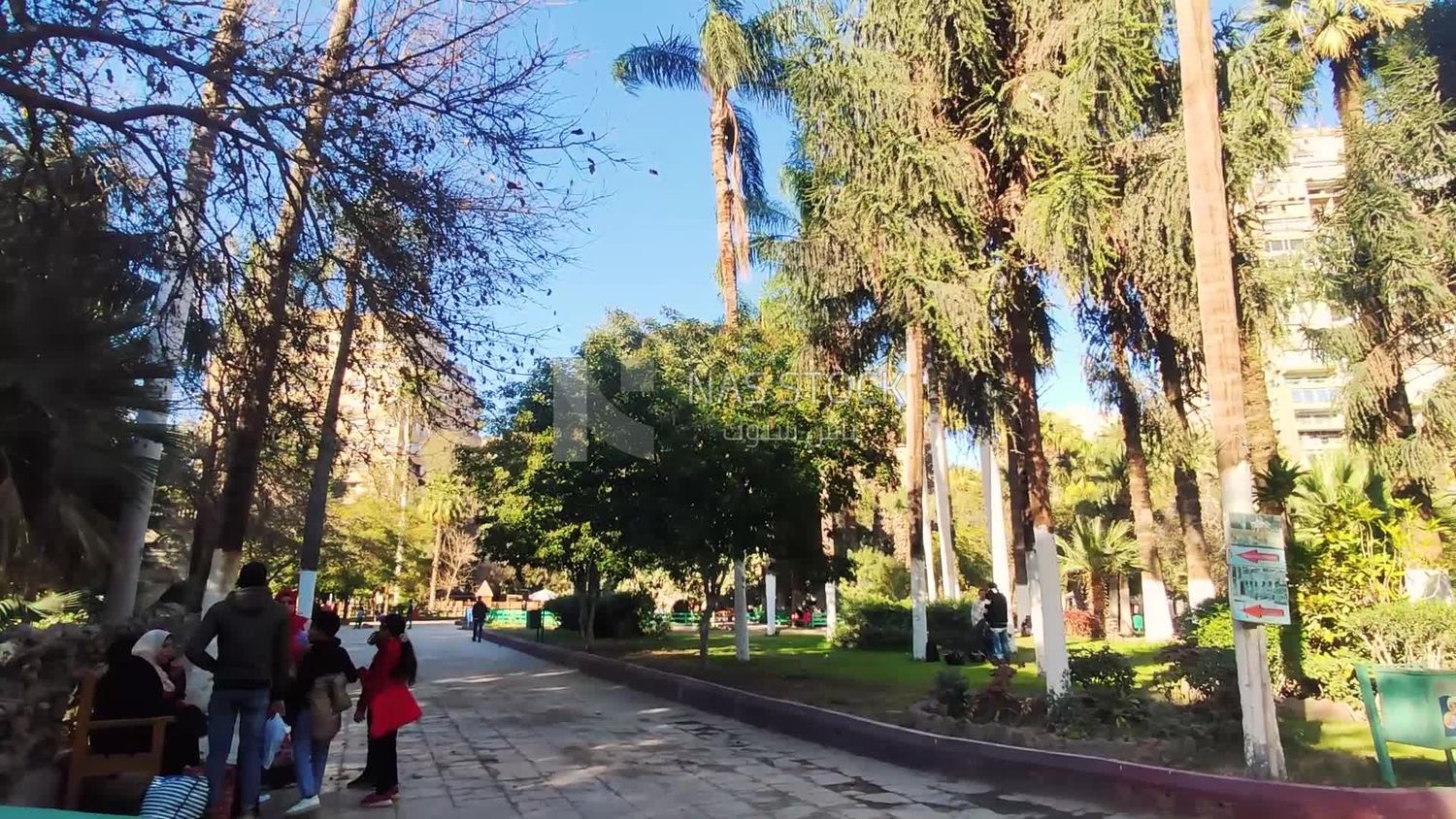 Cairo Aquarium