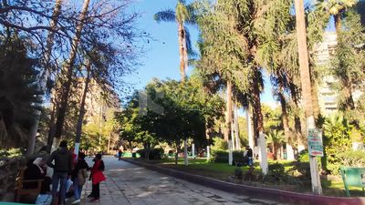 Cairo Aquarium