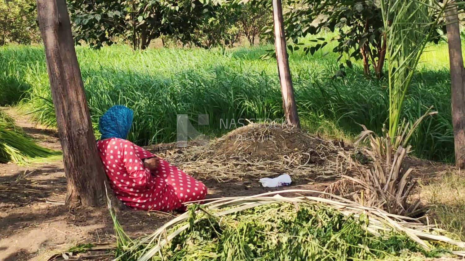 Egyptian woman sitting on the floor in front of the field