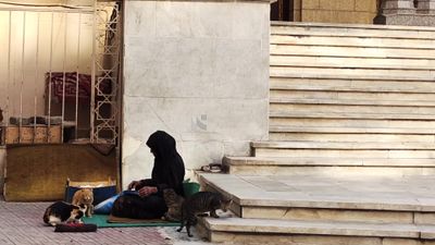 Homeless girl feeding cats
