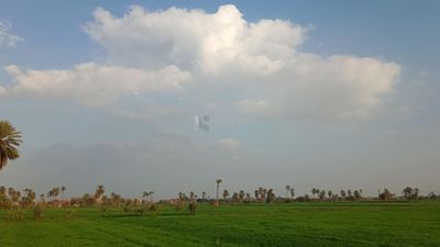 Video showing a natural view of an Egyptian agricultural land, with a stunning view of the sky above it