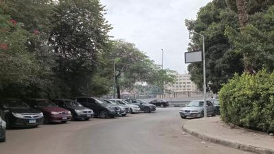 Video showing one of the quiet streets of Zamalek district in Cairo