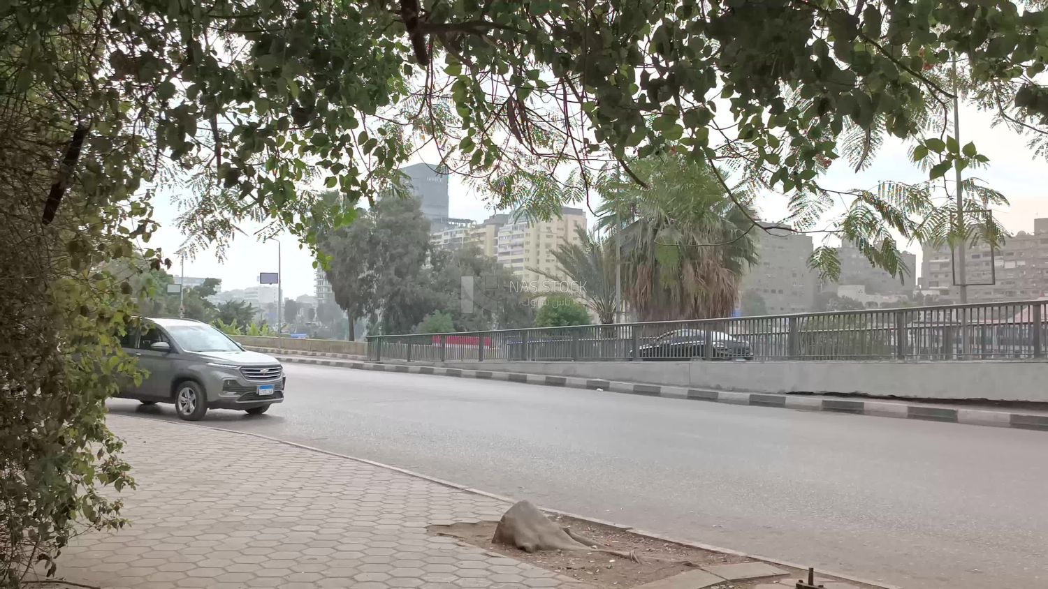 Video showing one of the quiet streets of Zamalek district in Cairo