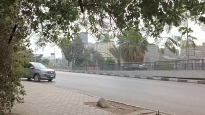 Video showing one of the quiet streets of Zamalek district in Cairo
