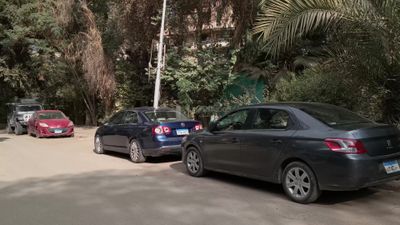Cars parked at a large house in Maadi surrounded by trees and plants
