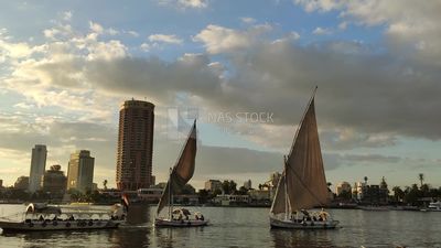 Video showing a group of sailboats cruising in the Nile River in front of the Sofitel El Gezirah Hotel