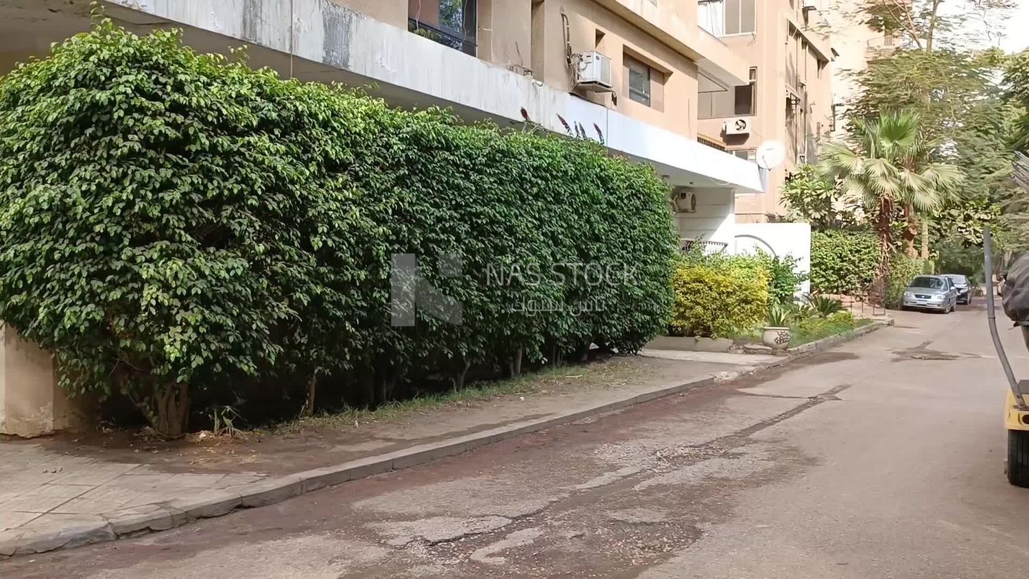 Video showing a man riding a bicycle in one of the streets of Maadi