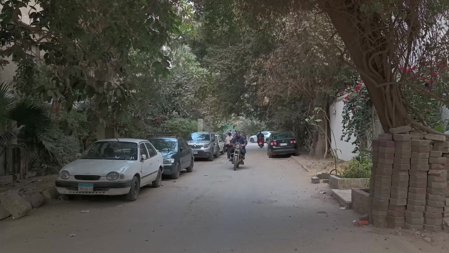 Video showing a street in Maadi where pedestrians and motorbikes roam